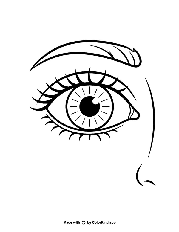 Human Eye as clean black-and-white printable line art made by ColorKind