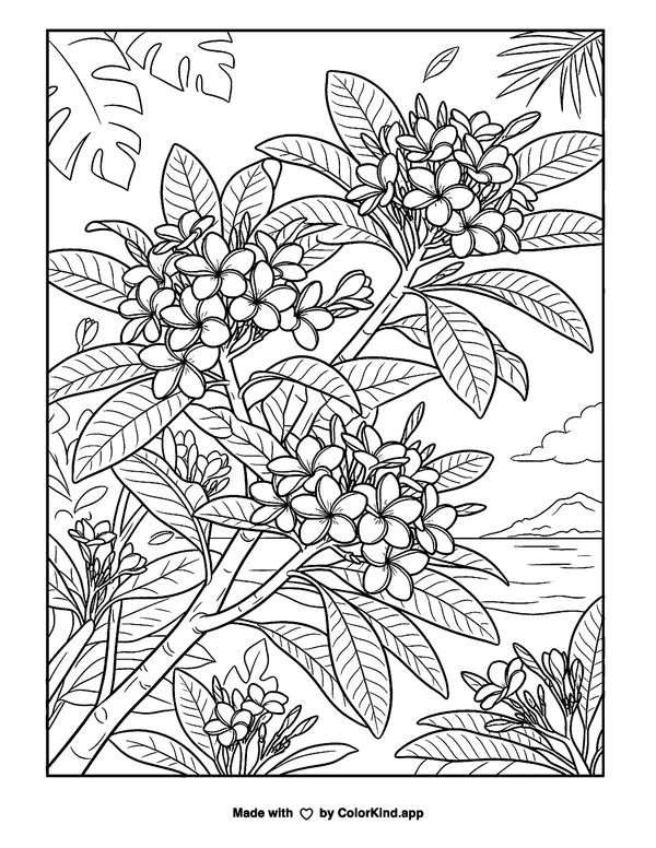 Plumeria Flowers as clean black-and-white printable line art made by ColorKind